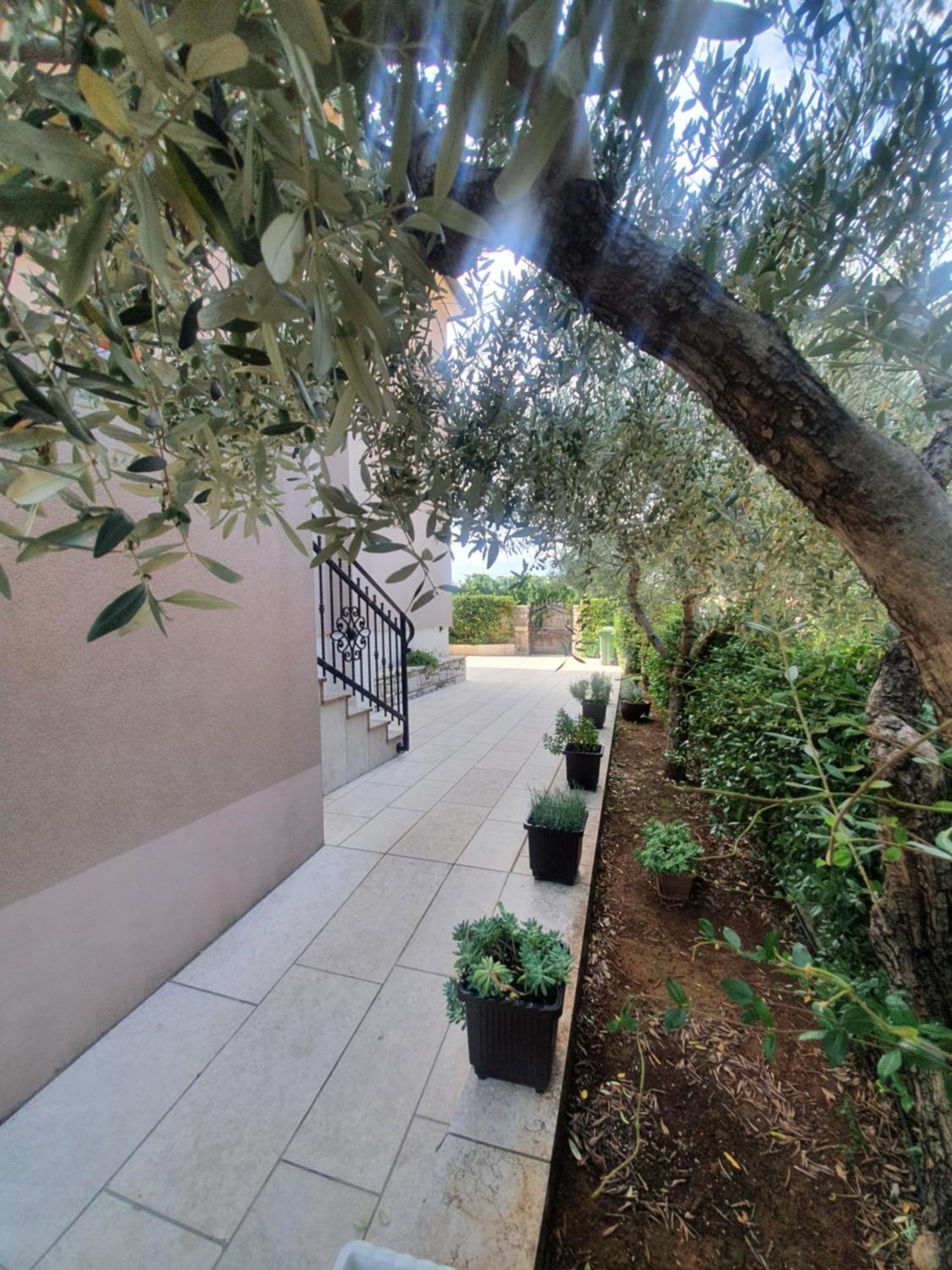 Apartment And Room Marlen Rovinjsko Selo Exterior photo